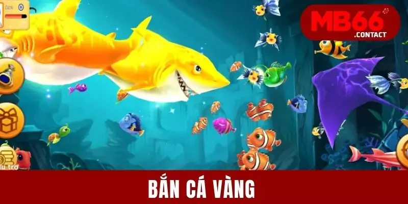 Bắn Cá Vàng - Tận Hưởng Cuộc Phiêu Lưu Biển Cả 2025 8 Bắn Cá Vàng - Tận Hưởng Cuộc Phiêu Lưu Biển Cả Kịch Tính