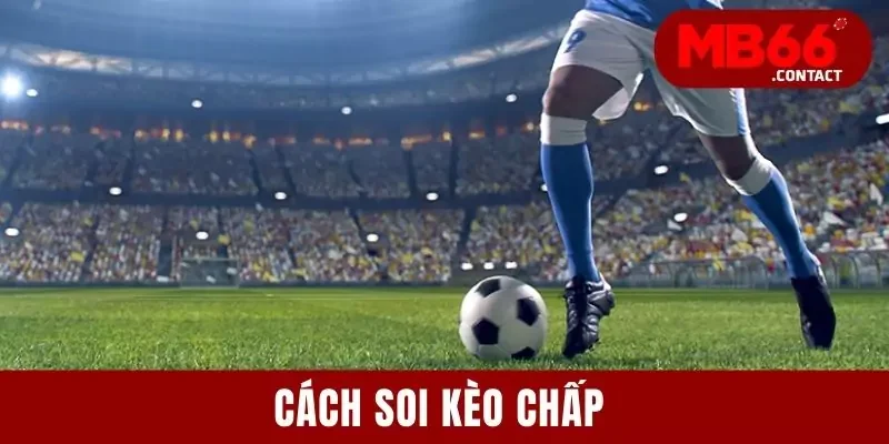 Cách Soi Kèo Chấp Cực Chuẩn Xác Cho Người Chơi Mới 2025 1 Cách Soi Kèo Chấp Cực Chuẩn Xác Cho Người Chơi Mới Bắt Đầu