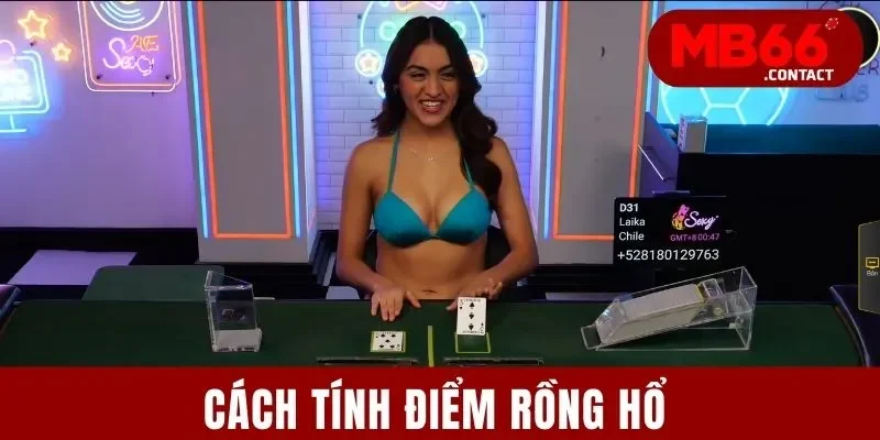 Cách Tính Điểm Rồng Hổ Chuẩn Chỉnh Và Bài Bản Nhất 2025 6 Cách Tính Điểm Rồng Hổ Chuẩn Chỉnh Và Bài Bản Nhất 2025