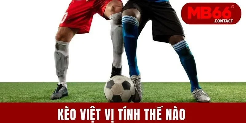 Kèo Việt Vị Tính Thế Nào? Giải Mã Cách Đọc Kèo Chuẩn Xác