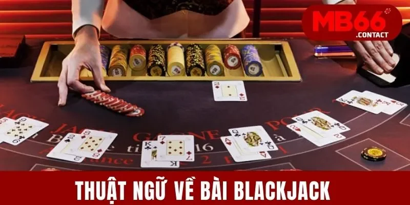 Thuật Ngữ Casino Cần Biết | Cẩm Nang 4 Loại Từ Quan Trọng 3 Thuật ngữ về bài blackjack