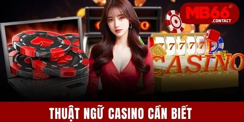 Thuật Ngữ Casino Cần Biết | Cẩm Nang 4 Loại Từ Quan Trọng 7 Thuật Ngữ Casino Cần Biết | Cẩm Nang 4 Loại Từ Quan Trọng